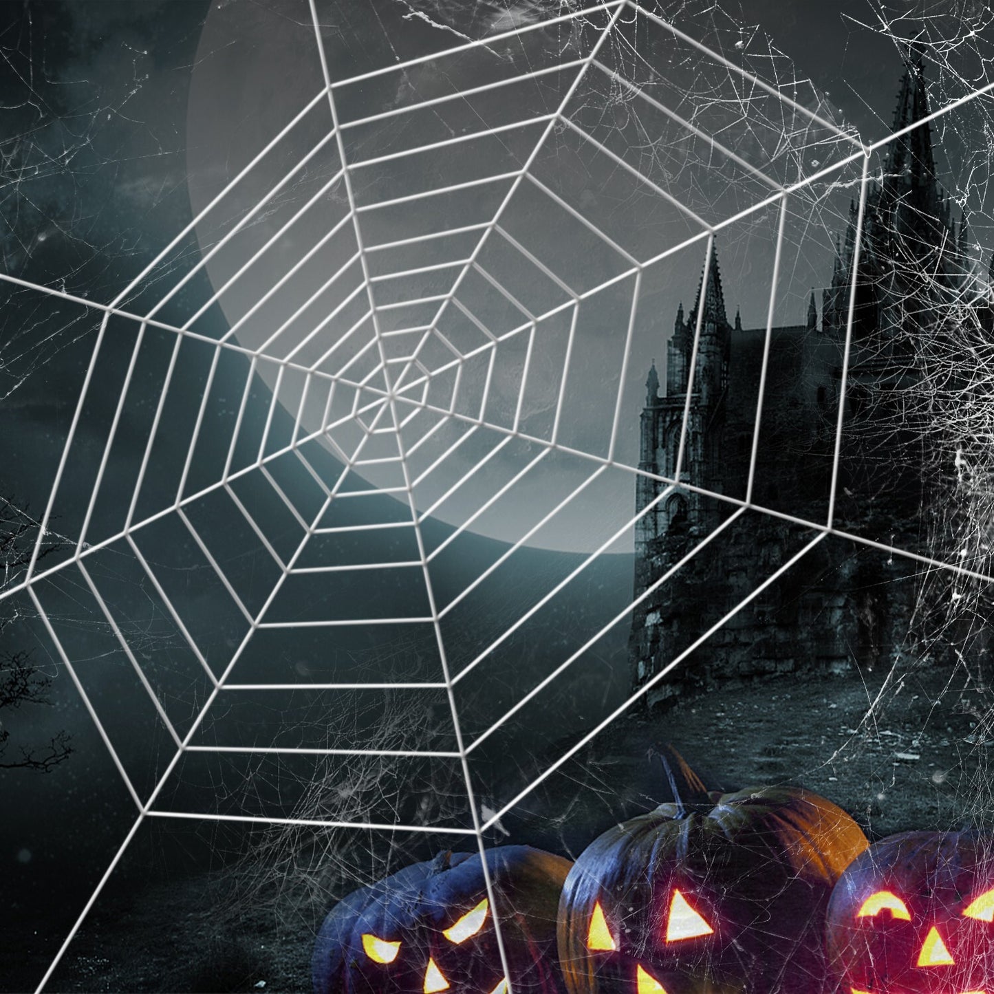2 Pack 12Ft Large Spider Web Halloween Decorations for Garden Yard Outdoor Decor