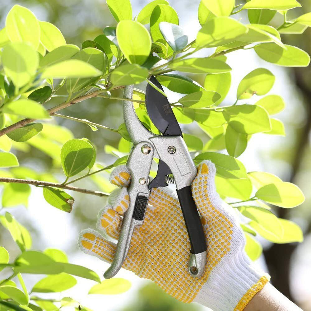 Professional Steel Pruning Shears Anvil Hand Pruners, Garden Clippers