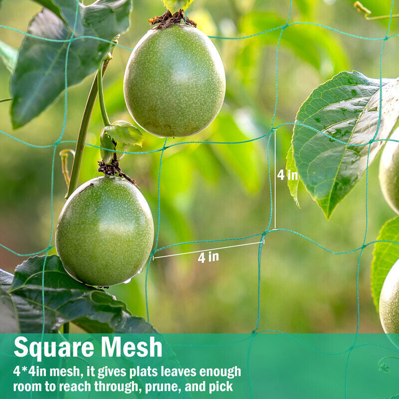 6/50Ft Garden Plant Trellis Netting Heavy Duty Mesh Netting for Climbing Plants