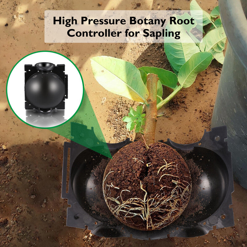 Reusable Plant Rooting Growing Grafting Box High Pressure Propagation Ball