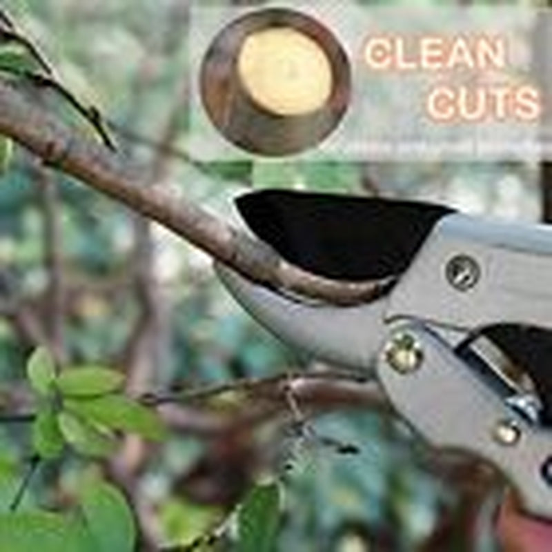 Professional Steel Pruning Shears Anvil Hand Pruners, Garden Clippers