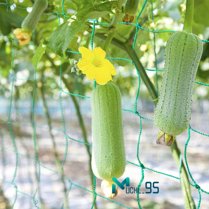 6/50Ft Garden Plant Trellis Netting Heavy Duty Mesh Netting for Climbing Plants