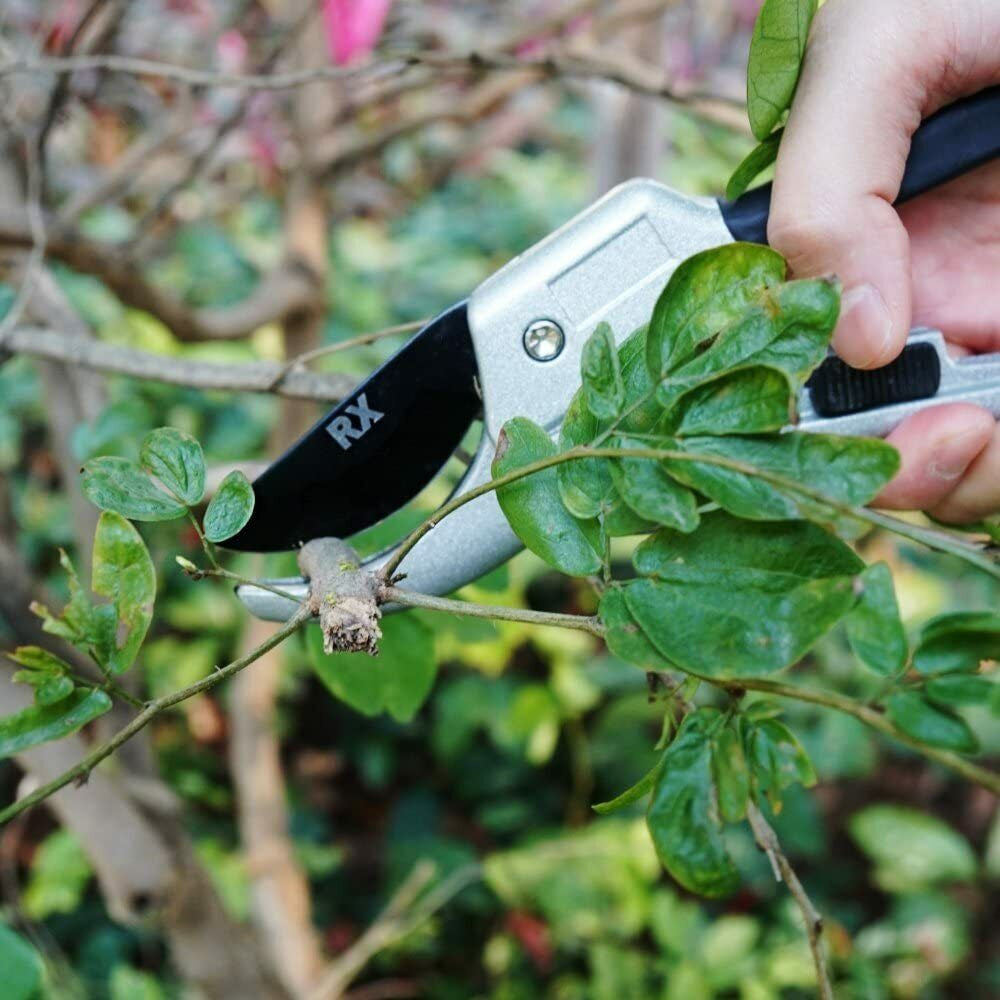 Professional Steel Pruning Shears Anvil Hand Pruners, Garden Clippers