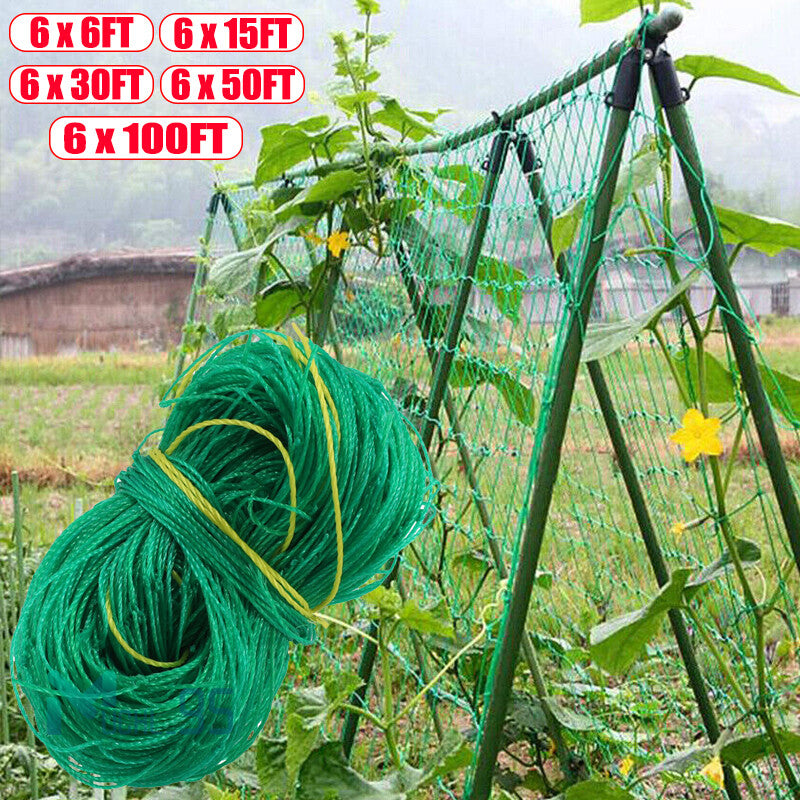 6/50Ft Garden Plant Trellis Netting Heavy Duty Mesh Netting for Climbing Plants