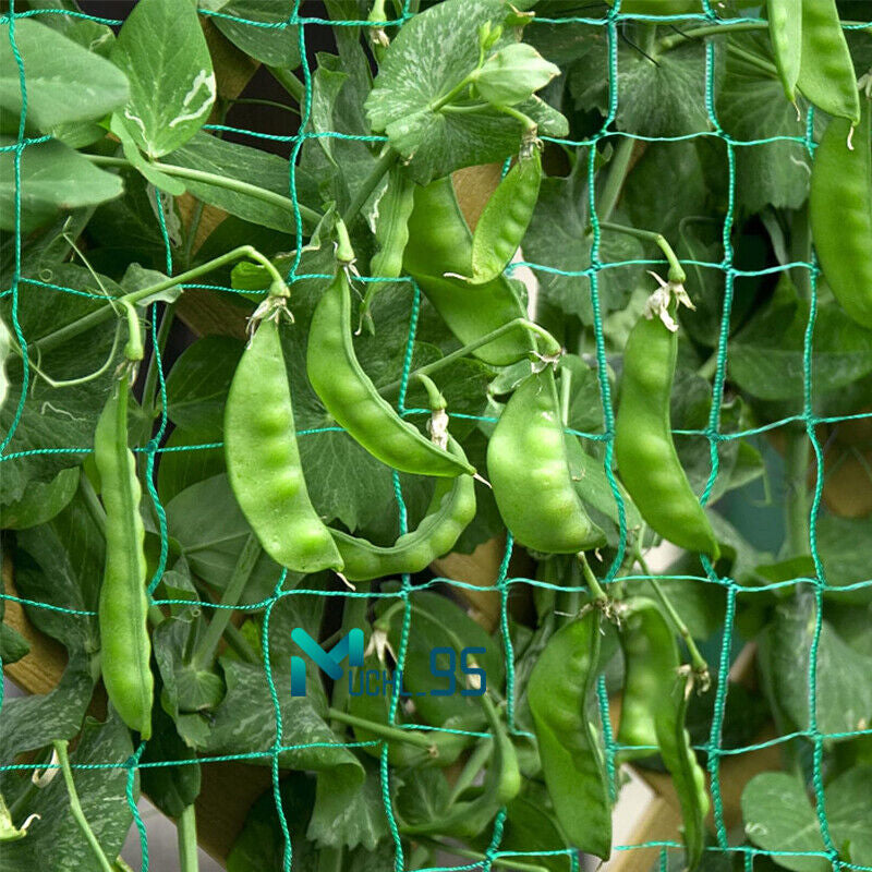 6/50Ft Garden Plant Trellis Netting Heavy Duty Mesh Netting for Climbing Plants