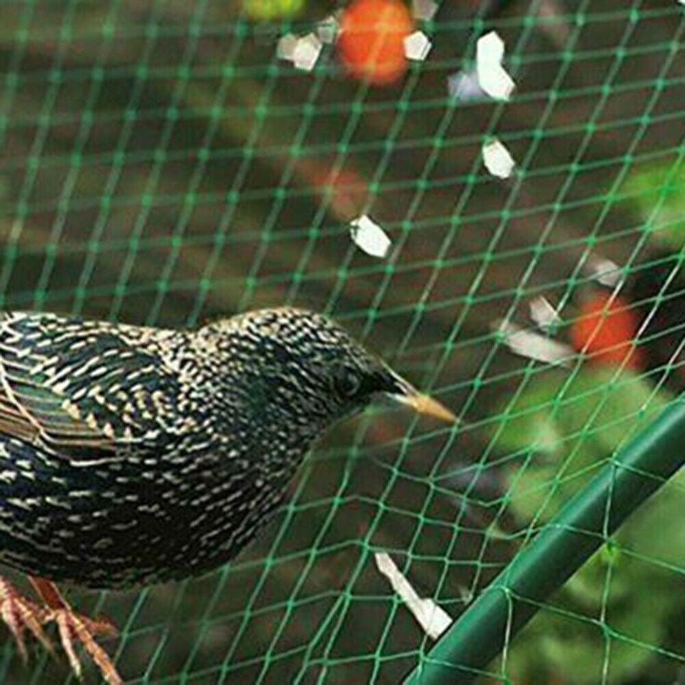 Anti Bird Netting Pond Net Protection Tree Crops Plants Fruits Garden Mesh