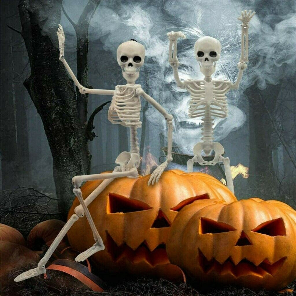 Halloween Poseable Full Life Skeleton Party Prop Decoration Human Anatomy Model