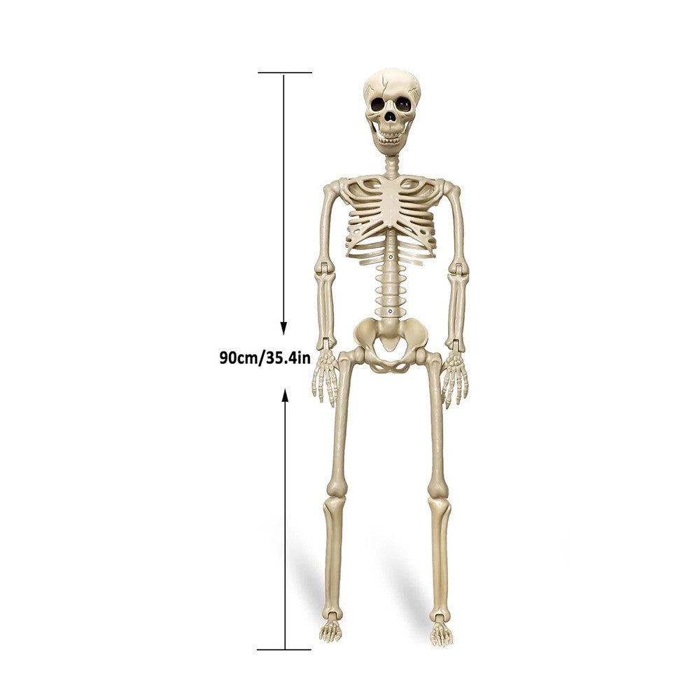 Halloween Poseable Full Life Skeleton Party Prop Decoration Human Anatomy Model