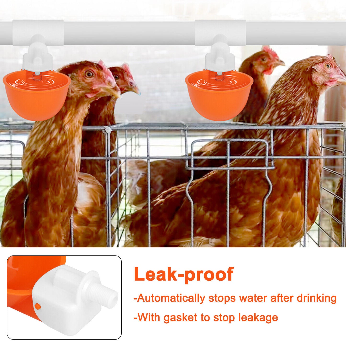 5PCS Chicken Automatic Watering Cups Poultry Drinker Waterer for Duck Quail Hen