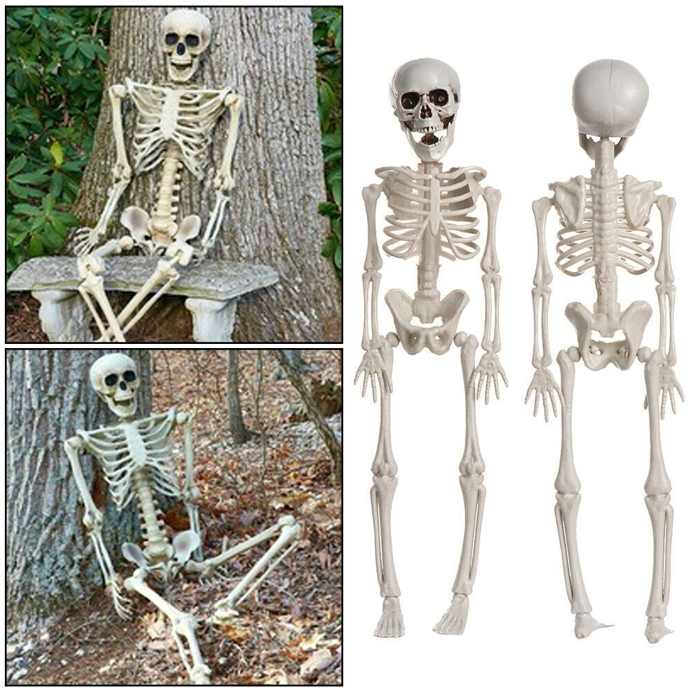 Halloween Poseable Full Life Skeleton Party Prop Decoration Human Anatomy Model