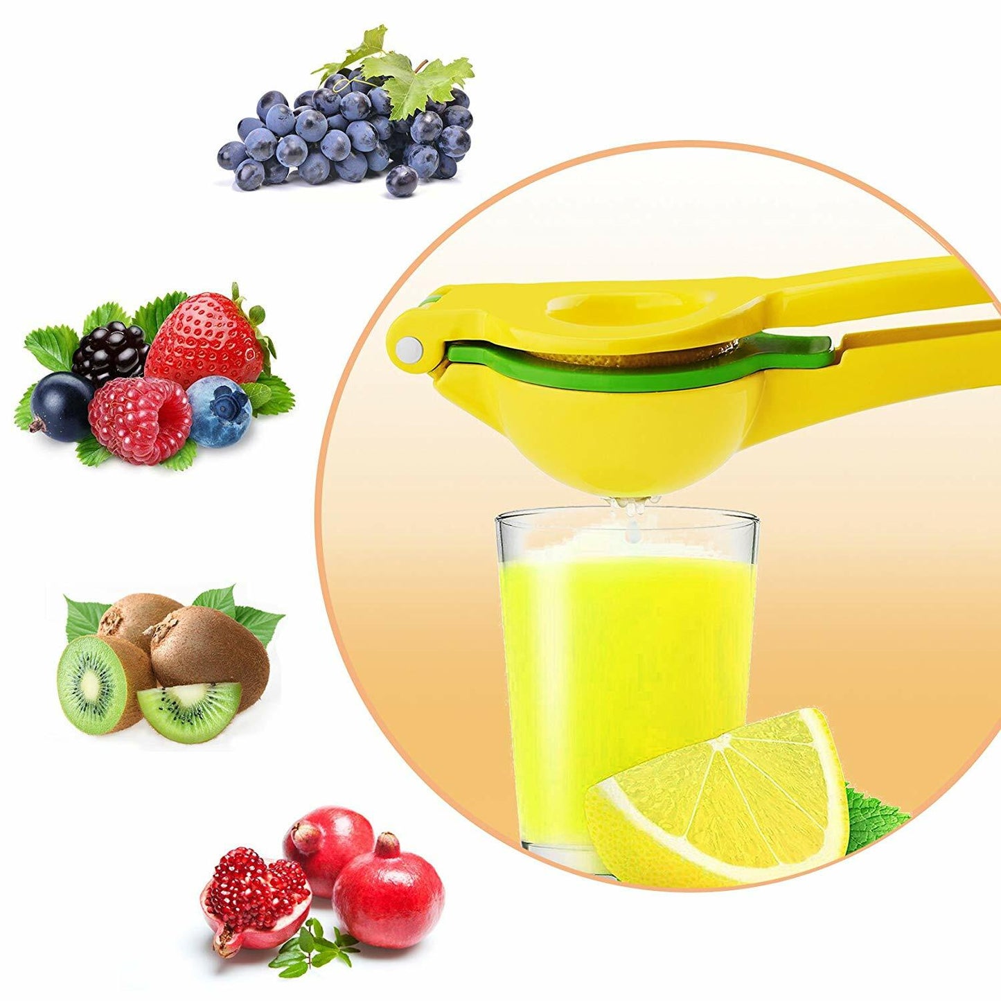 Lemon Squeezer Stainless Steel Manual Citrus Press Juicer Heavy Duty Rustproof
