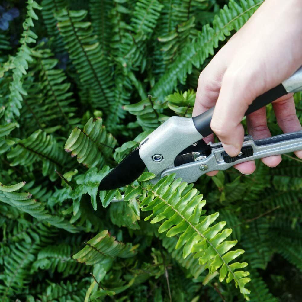 Professional Steel Pruning Shears Anvil Hand Pruners, Garden Clippers