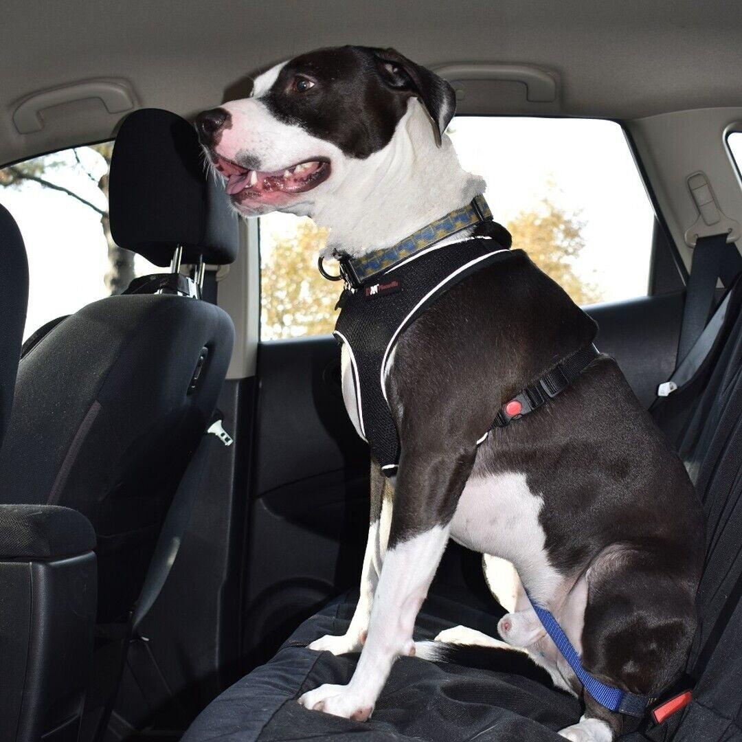 Waterproof Dog Car Seat Cover Hammock – Back Seat Protector & Extender for Cars, SUVs & Trucks