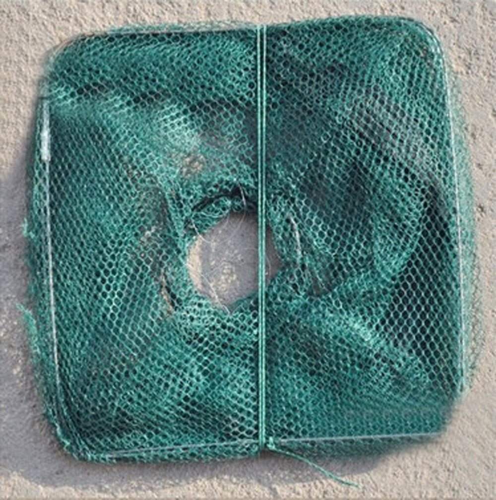 Fishing Bait Trap Fish Net Cast Dip Cage Crab Minnow Crawdad Shrimp Foldable
