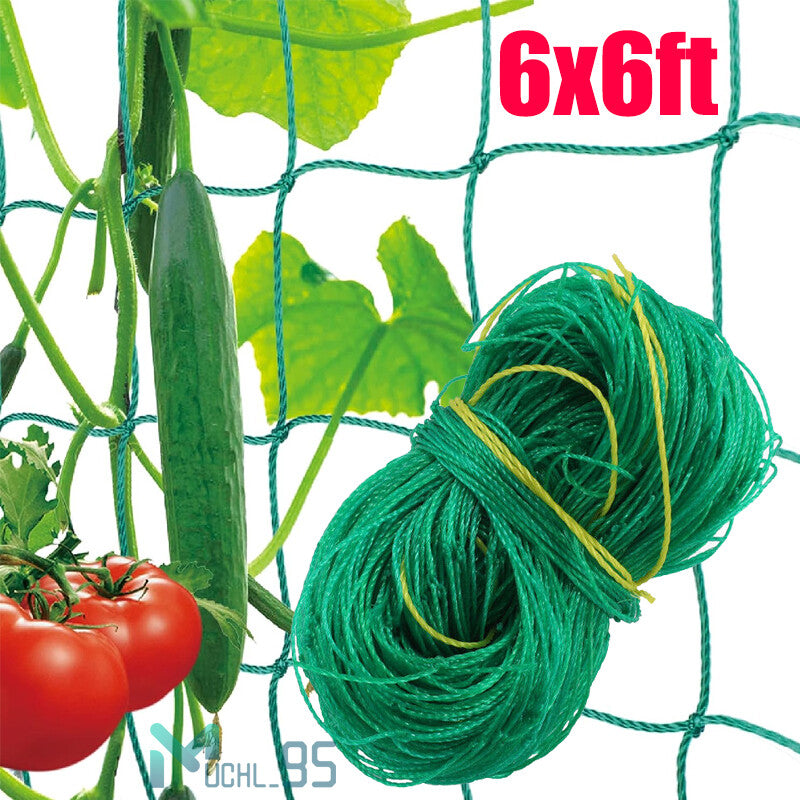 6/50Ft Garden Plant Trellis Netting Heavy Duty Mesh Netting for Climbing Plants