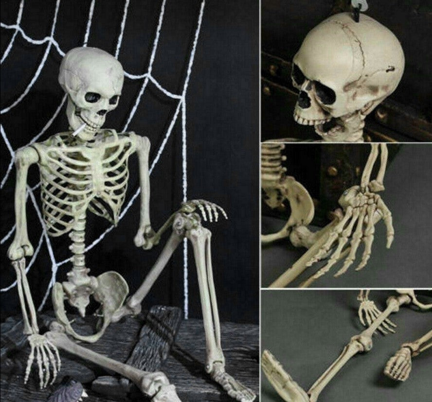 Halloween Poseable Full Life Skeleton Party Prop Decoration Human Anatomy Model