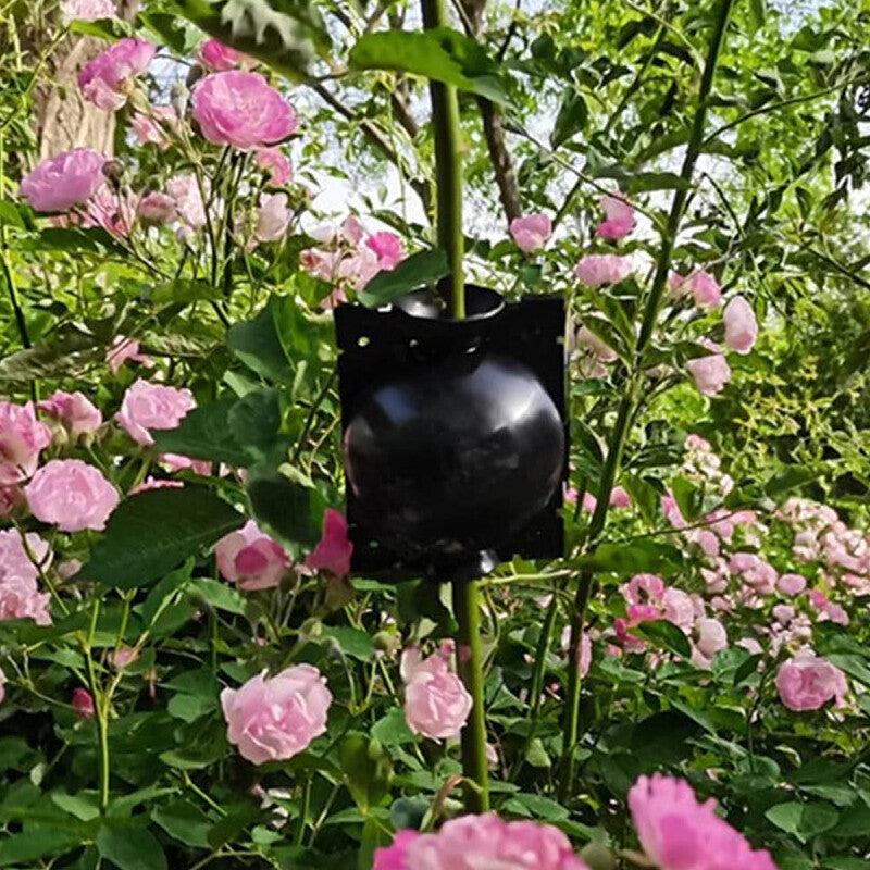 Reusable Plant Rooting Growing Grafting Box High Pressure Propagation Ball