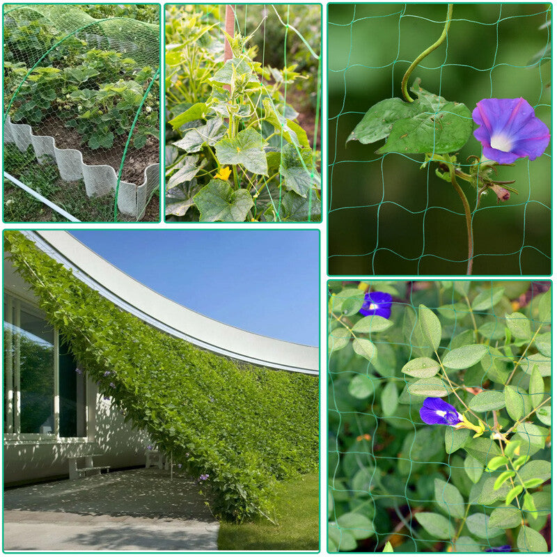 6/50Ft Garden Plant Trellis Netting Heavy Duty Mesh Netting for Climbing Plants