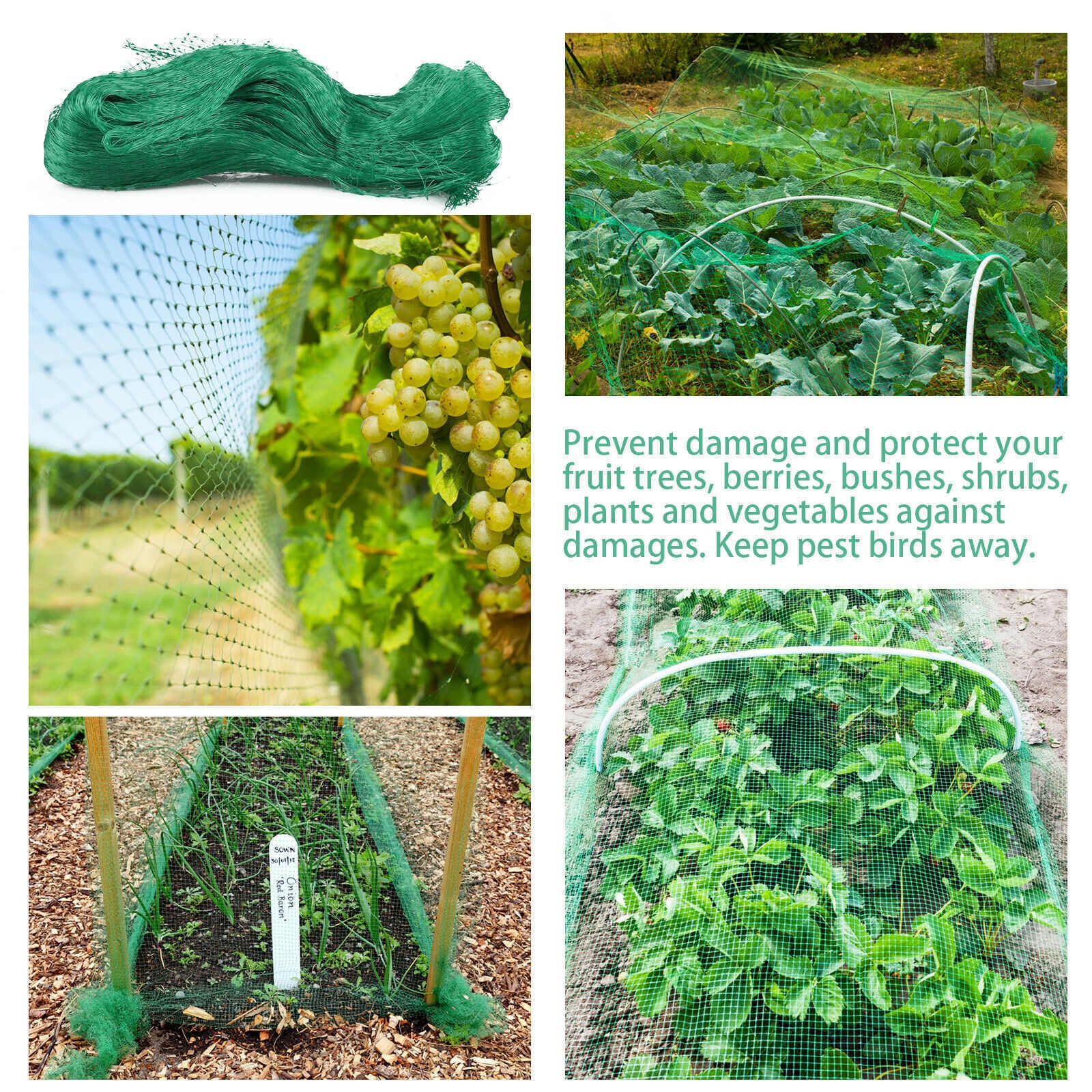 Anti Bird Netting Pond Net Protection Tree Crops Plants Fruits Garden Mesh