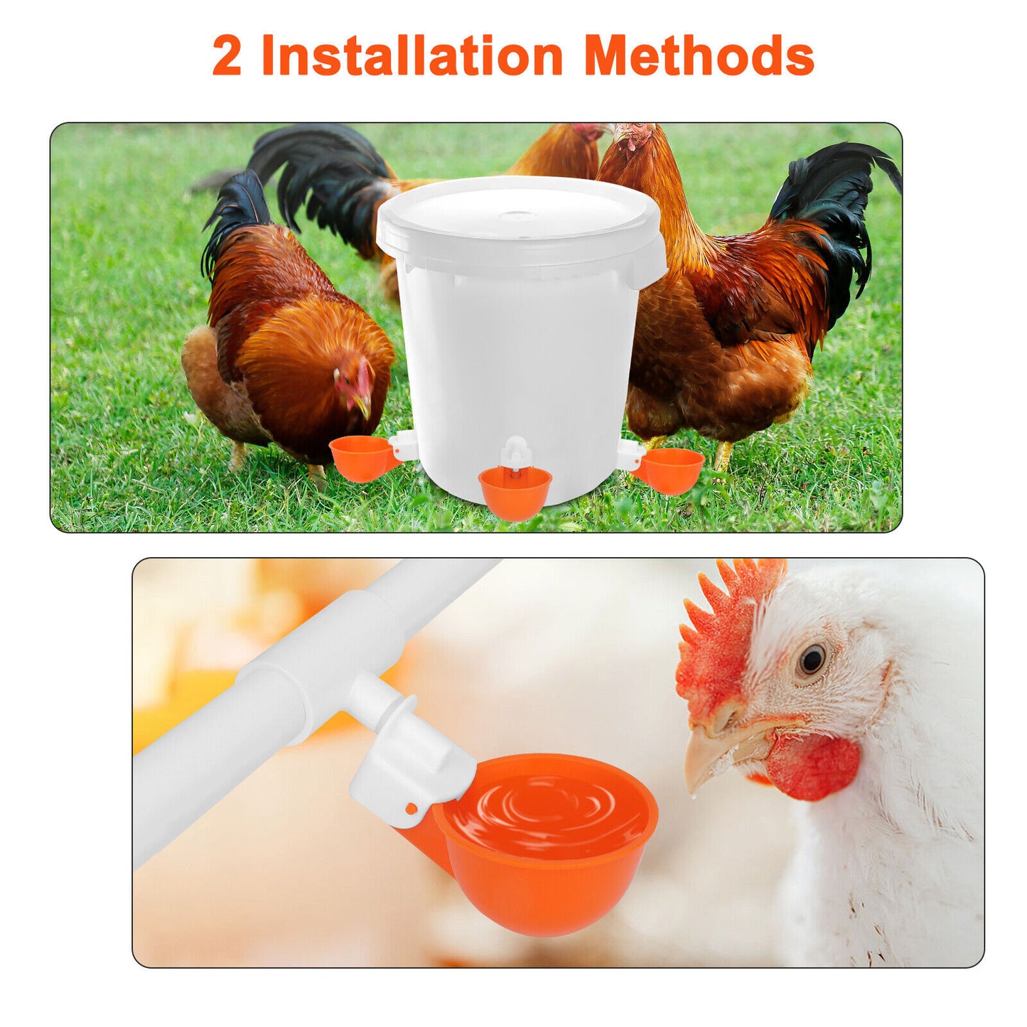 5PCS Chicken Automatic Watering Cups Poultry Drinker Waterer for Duck Quail Hen