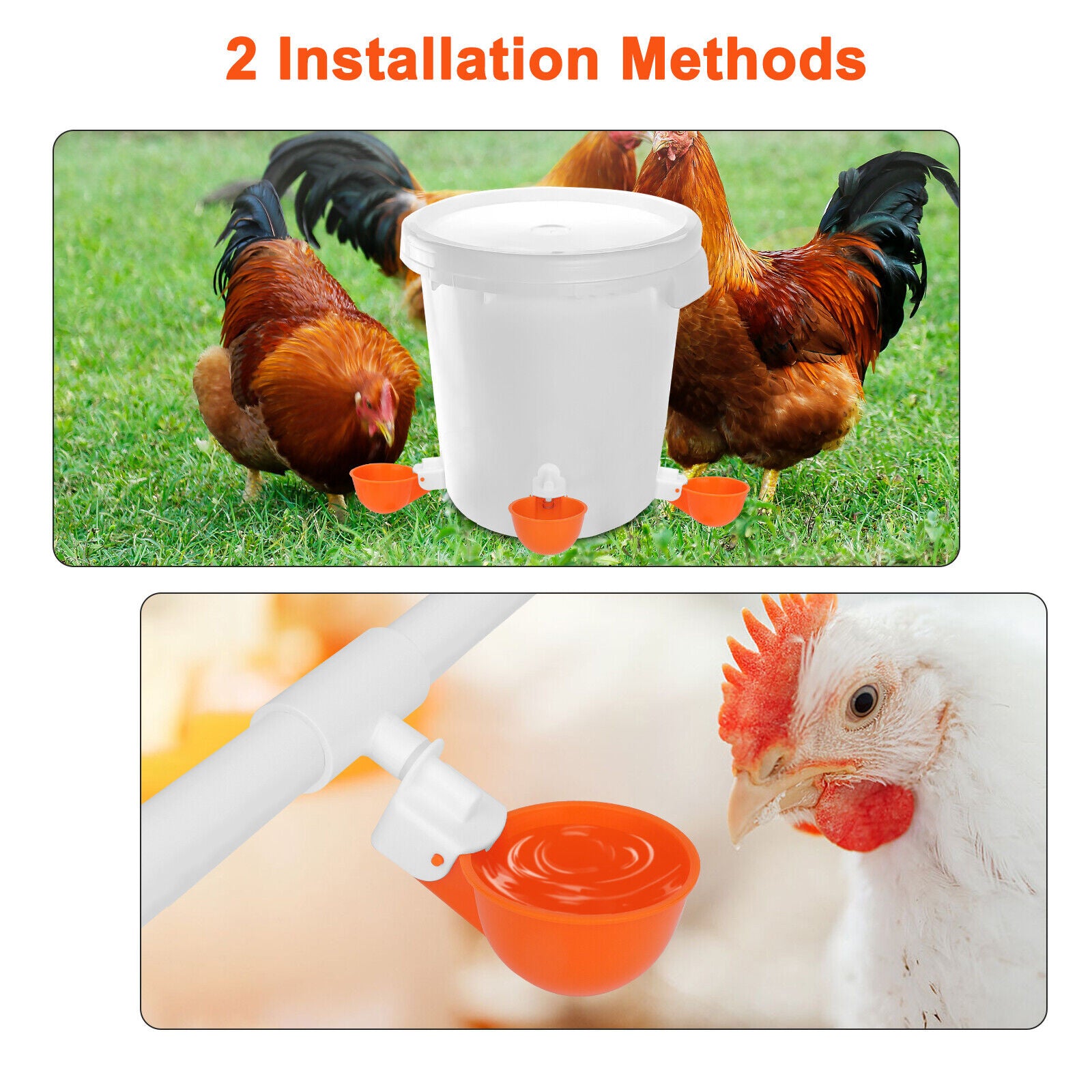 5PCS Chicken Automatic Watering Cups Poultry Drinker Waterer for Duck Quail Hen