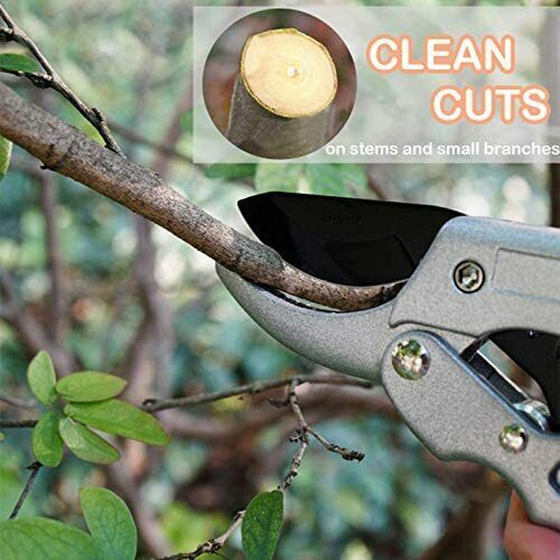 Professional Steel Pruning Shears Anvil Hand Pruners, Garden Clippers