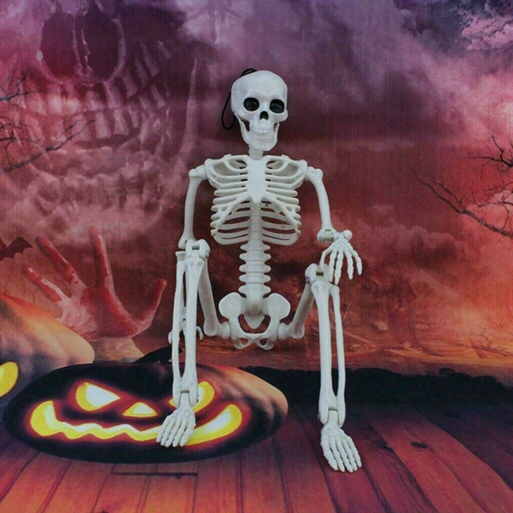 Halloween Poseable Full Life Skeleton Party Prop Decoration Human Anatomy Model