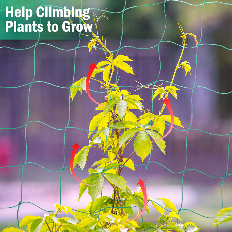 6/50Ft Garden Plant Trellis Netting Heavy Duty Mesh Netting for Climbing Plants