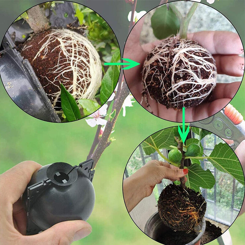 Reusable Plant Rooting Growing Grafting Box High Pressure Propagation Ball