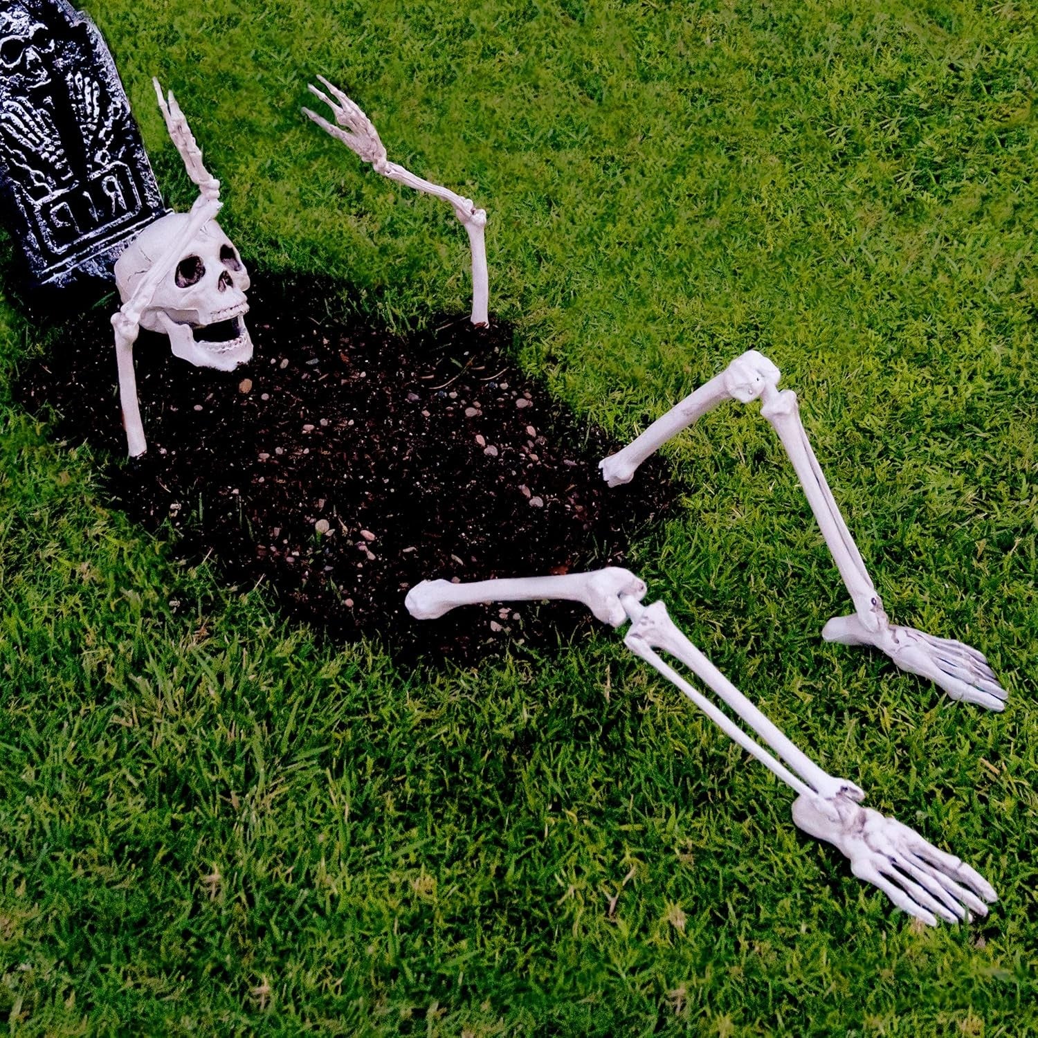 Halloween Poseable Full Life Skeleton Party Prop Decoration Human Anatomy Model