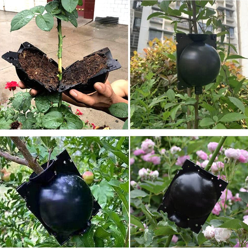 Reusable Plant Rooting Growing Grafting Box High Pressure Propagation Ball