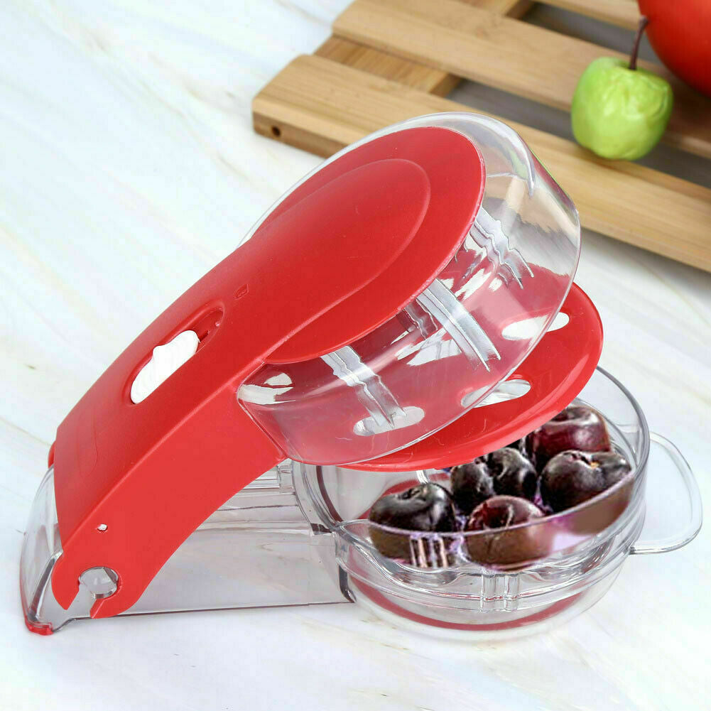 Pitter Stone Seed Remover Cherry Olive Pits Tool Kitchen Corer Fruit Core Stoner