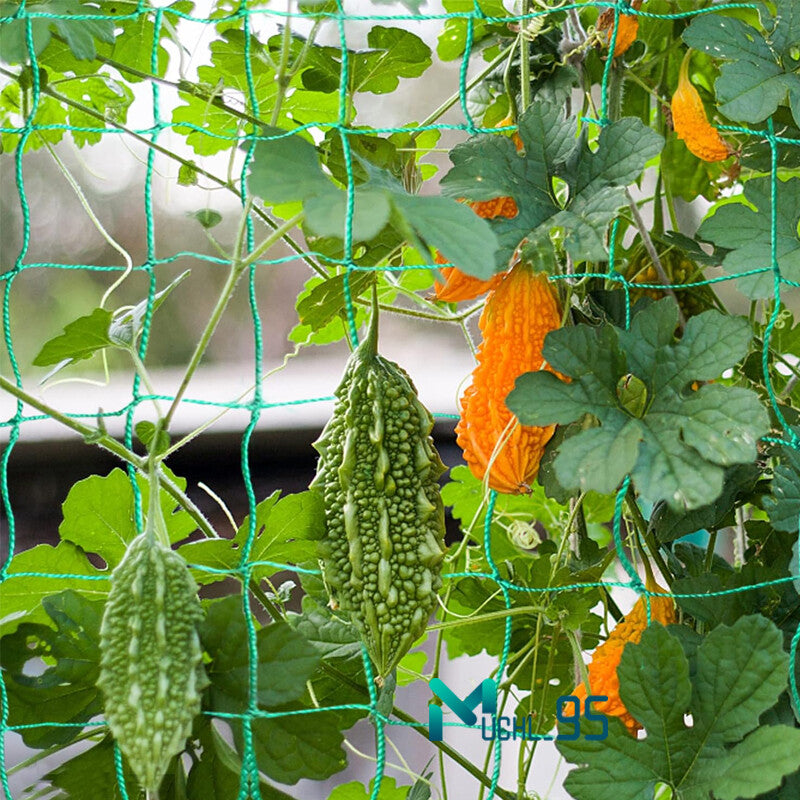 6/50Ft Garden Plant Trellis Netting Heavy Duty Mesh Netting for Climbing Plants