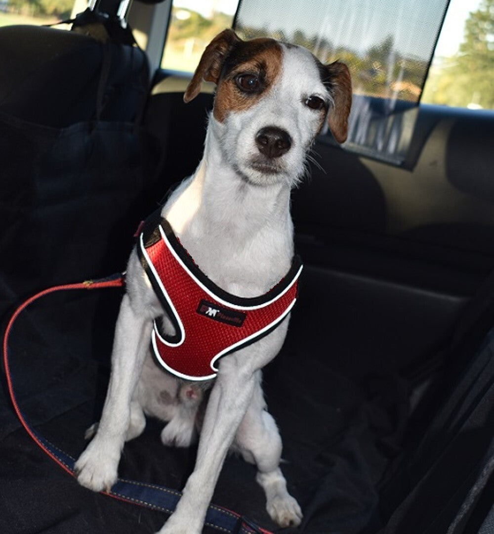 Waterproof Dog Car Seat Cover Hammock – Back Seat Protector & Extender for Cars, SUVs & Trucks