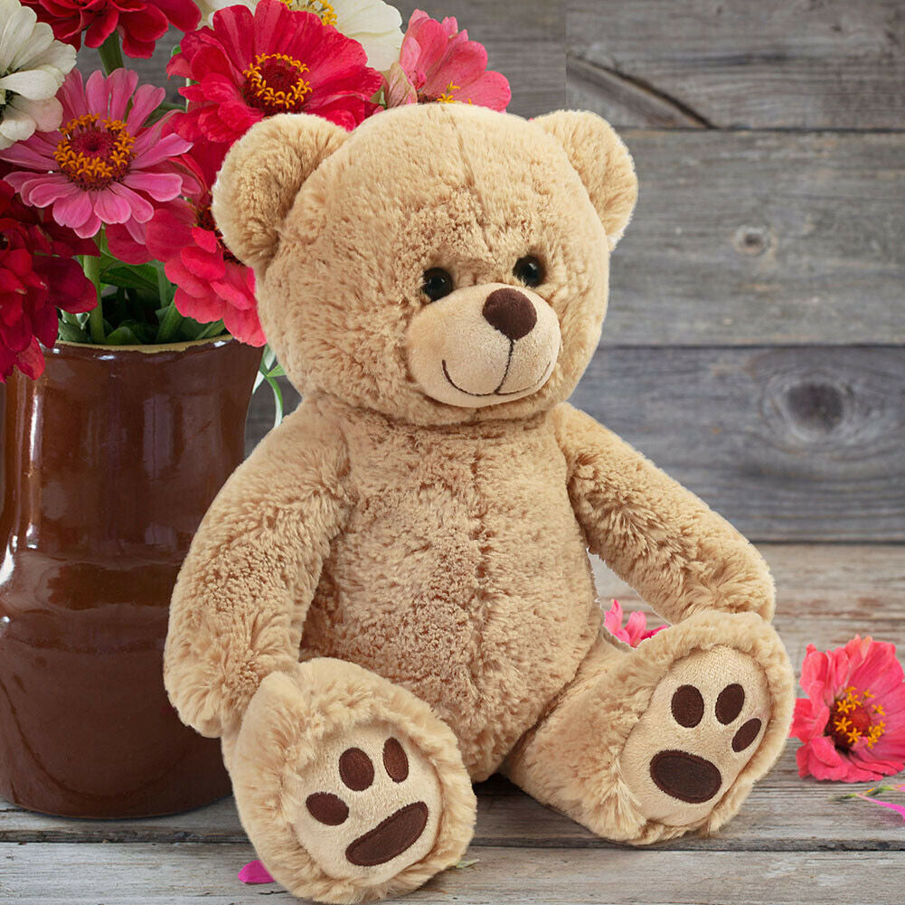 10'' Plush Teddy Bear